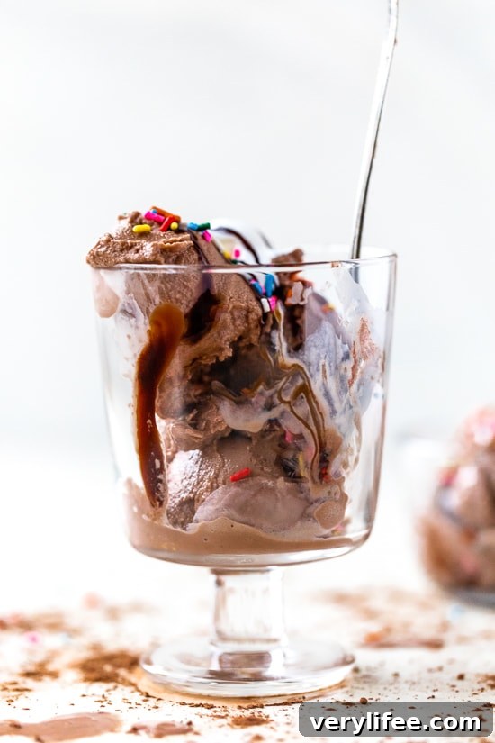 Chocolate Frozen Yogurt