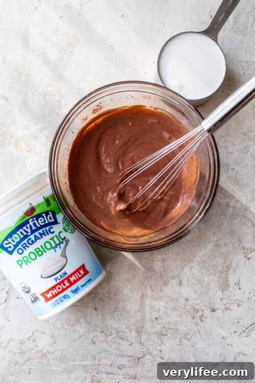 How To Make Chocolate Frozen Yogurt