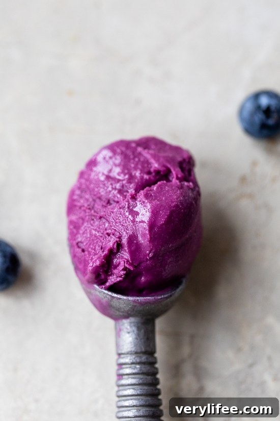 blueberry ice cream