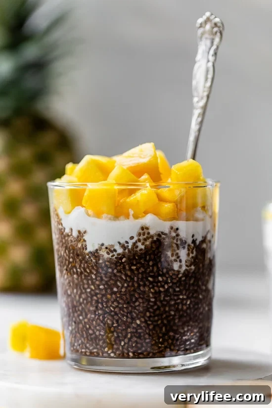 Chia Pudding with Cottage Cheese