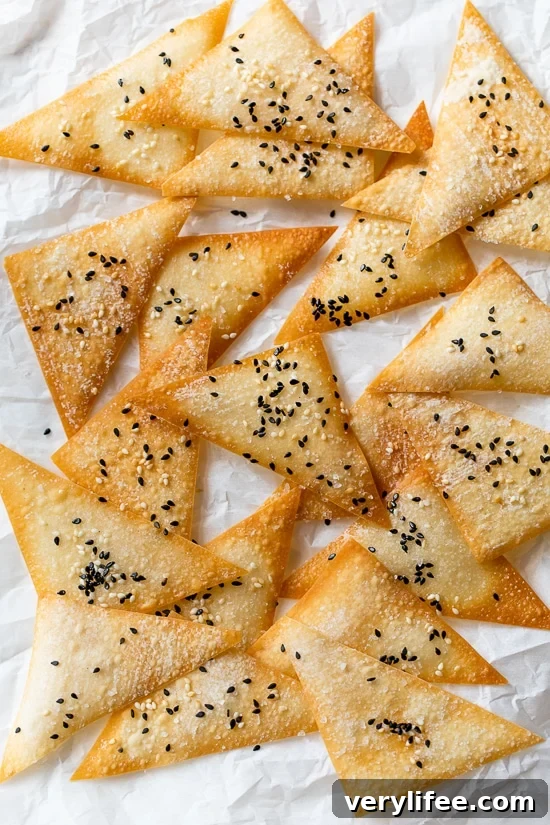 Baked Wonton Chips