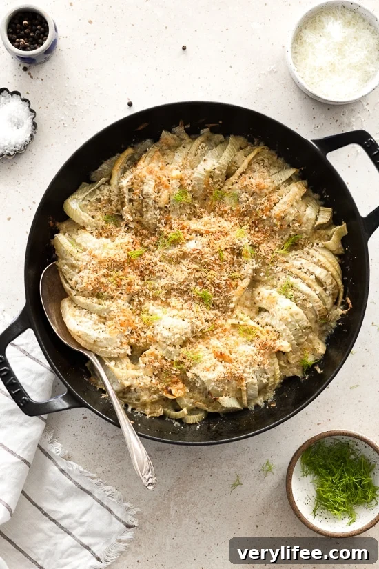 Parmesan Fennel Gratin Recipe with Crispy Breadcrumbs 2 Fennel Gratin