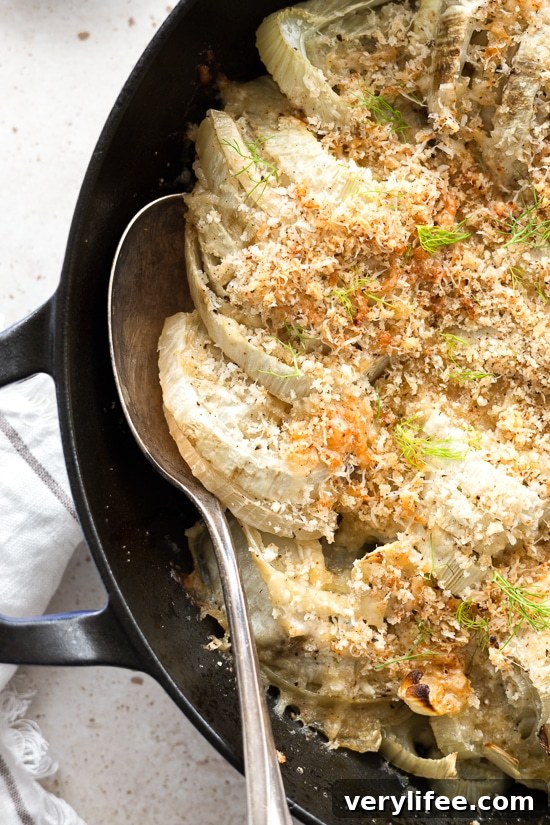 Parmesan Fennel Gratin Recipe with Crispy Breadcrumbs 3 Fennel Gratin
