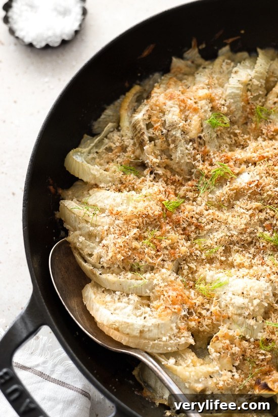 Parmesan Fennel Gratin Recipe with Crispy Breadcrumbs 4 Fennel Gratin