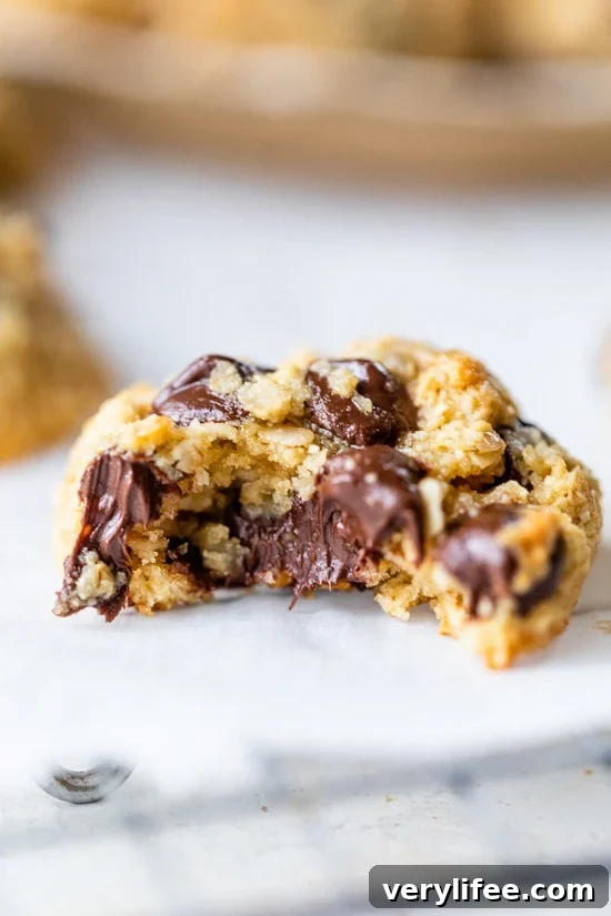 Healthy Chocolate Chip Oat Cookies
