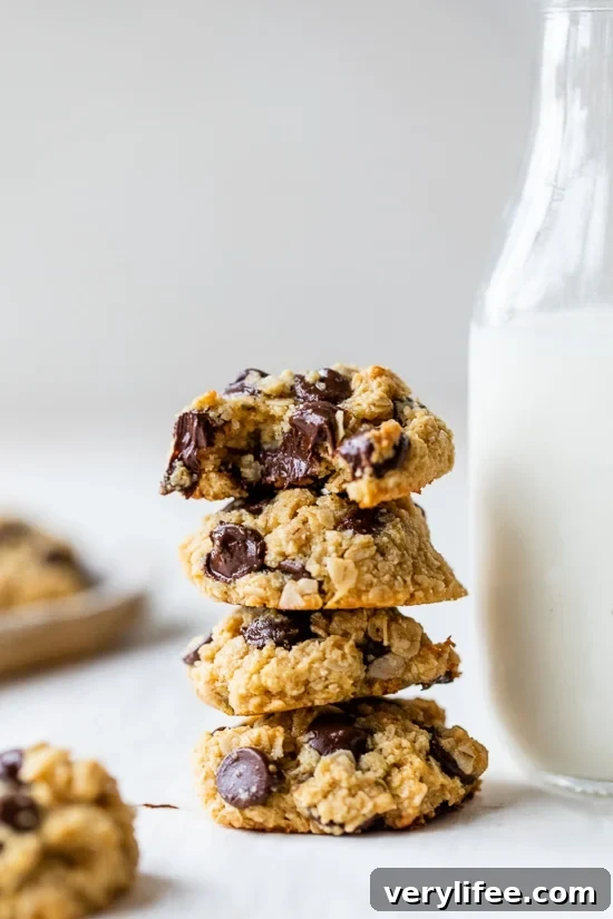 Chocolate Chip Oat Cookies