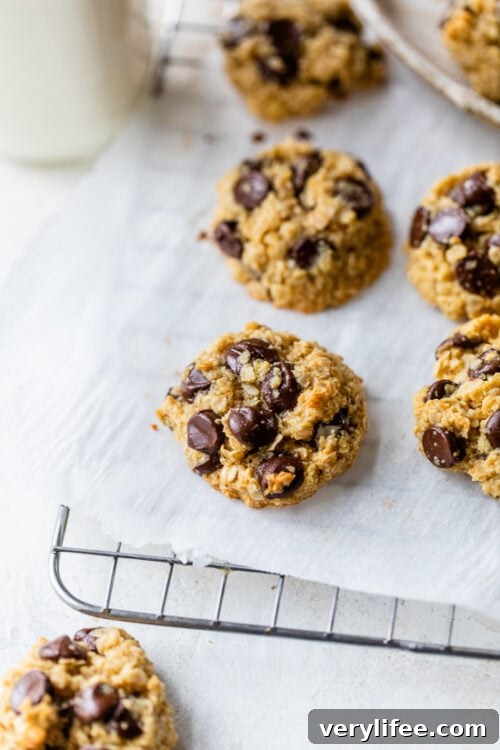 chocolate chip oat cookies