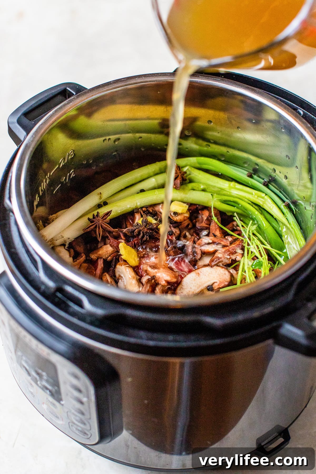 Instant pot soup with short ribs