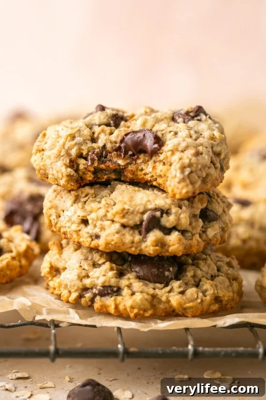 Oatmeal Chocolate Chip Cookies